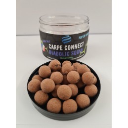 CARPECONNECT POP UP 12 MM...