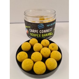 CARPECONNECT POP UP 15 MM...
