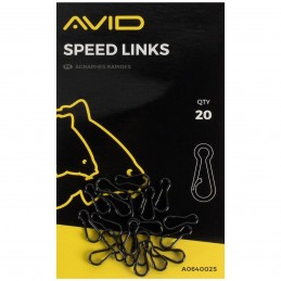 AVIDCARP OUTLINE SPEED LINKS