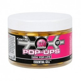 MAINLINE POP-UPS ESSENTIAL...