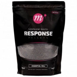 MAINLINE RESPONSE CARP...