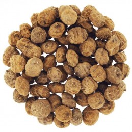 CARPECONNECT TIGERNUTS...