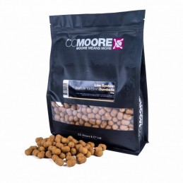 CC MOORE LIVE SYSTEM...