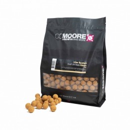 LIVE SYSTEM 24MM 1KG CC MOORE