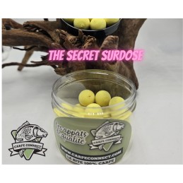 CARPECONNECT THE SECRET POP...