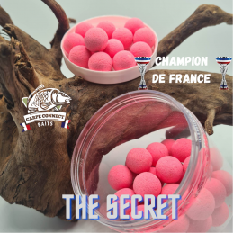 CARPECONNECT THE SECRET POP...