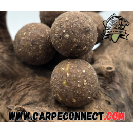 CARPECONNECT BOUILLETTES...