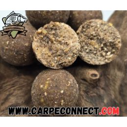 CARPECONNECT BOUILLETTES...