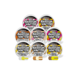 SONUBAITS BAND UM WAFTERS...