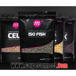 Mainline - Shelf Life ISO...