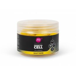 MAINLINE ESSENTIAL CELL...