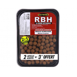 FUN FISHING RBH MOULE...