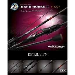 NS BLACK HOLE DARK HORSE II...