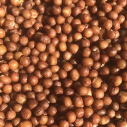 Carpe Connect Mapple Peas...