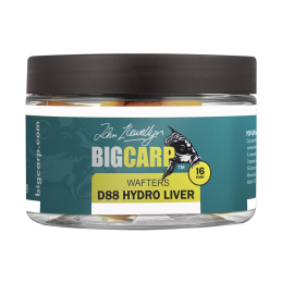BIG CARP WAFTERS D88 16 MM