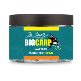 BIG CARP WAFTERS MONSTER...