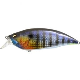 BIG-M 2.0 GG WILD GILL BM...