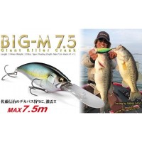 BIG-M 7.5