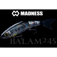 BALAM 245