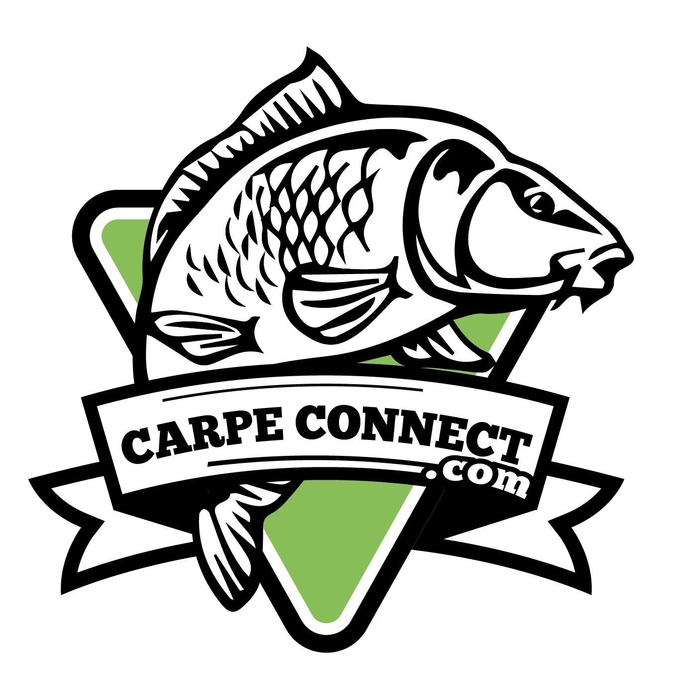 Carpe Connect